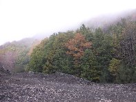 nte Fontane-201011107 080